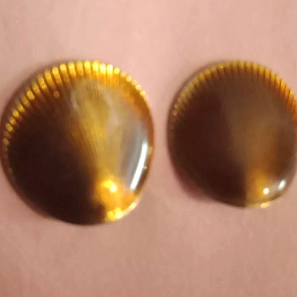 🩷Vintage Clip on shell shaped earrings